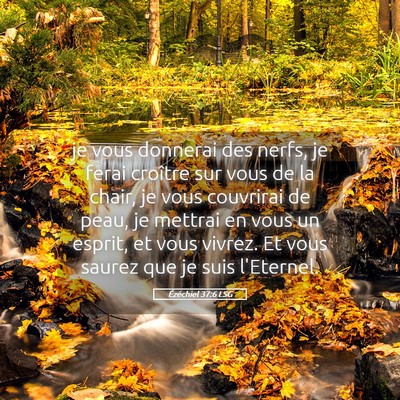 Picture 05 - Ézéchiel 37:6 LSG - je vous donnerai des nerfs, je ferai croître sur - Bible Verse Picture