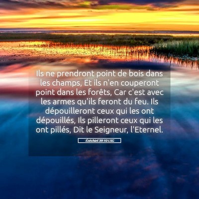 Picture 05 - Ézéchiel 39:10 LSG - Ils ne prendront point de bois dans les champs, - Bible Verse Picture