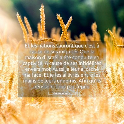 Picture 05 - Ézéchiel 39:23 LSG - Et les nations sauront que c'est à cause de ses - Bible Verse Picture