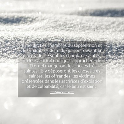 Picture 05 - Ézéchiel 42:13 LSG - Il me dit: Les chambres du septentrion et les - Bible Verse Picture