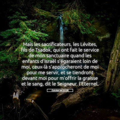 Picture 05 - Ézéchiel 44:15 LSG - Mais les sacrificateurs, les Lévites, fils de - Bible Verse Picture