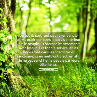 Picture 05 - Ézéchiel 44:19 LSG - Lorsqu'ils sortiront pour aller dans le parvis - Bible Verse Picture