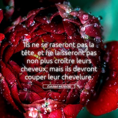 Picture 05 - Ézéchiel 44:20 LSG - Ils ne se raseront pas la tête, et ne laisseront - Bible Verse Picture