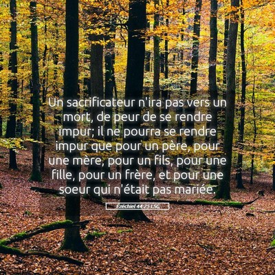 Picture 05 - Ézéchiel 44:25 LSG - Un sacrificateur n'ira pas vers un mort, de peur - Bible Verse Picture