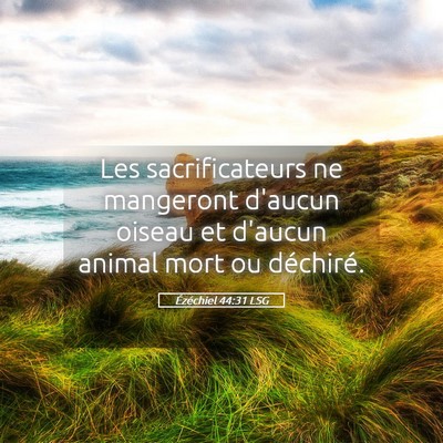 Picture 05 - Ézéchiel 44:31 LSG - Les sacrificateurs ne mangeront d'aucun oiseau et - Bible Verse Picture