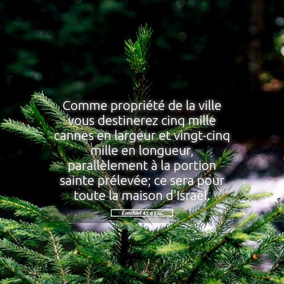 Picture 05 - Ézéchiel 45:6 LSG - Comme propriété de la ville vous destinerez - Bible Verse Picture