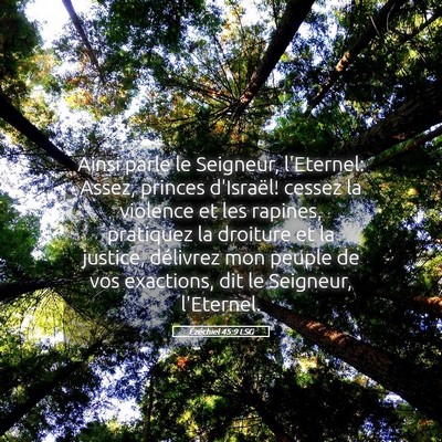 Picture 05 - Ézéchiel 45:9 LSG - Ainsi parle le Seigneur, l'Eternel: Assez, - Bible Verse Picture