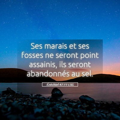 Picture 05 - Ézéchiel 47:11 LSG - Ses marais et ses fosses ne seront point - Bible Verse Picture