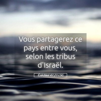 Picture 05 - Ézéchiel 47:21 LSG - Vous partagerez ce pays entre vous, selon les - Bible Verse Picture