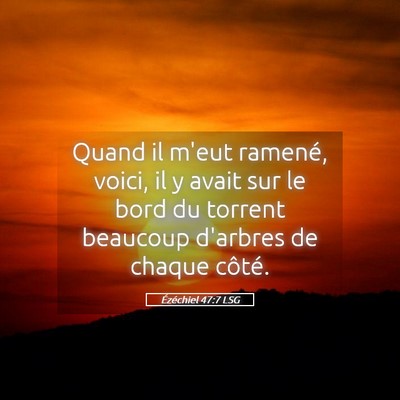 Picture 05 - Ézéchiel 47:7 LSG - Quand il m'eut ramené, voici, il y avait sur le - Bible Verse Picture