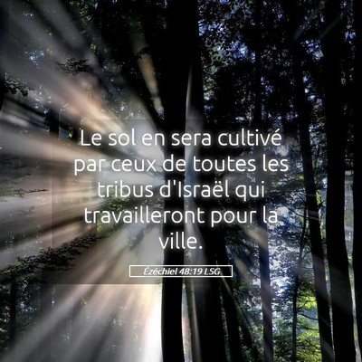 Picture 05 - Ézéchiel 48:19 LSG - Le sol en sera cultivé par ceux de toutes les - Bible Verse Picture
