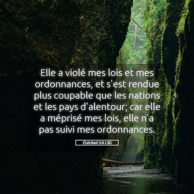 Picture 05 - Ézéchiel 5:6 LSG - Elle a violé mes lois et mes ordonnances, et - Bible Verse Picture