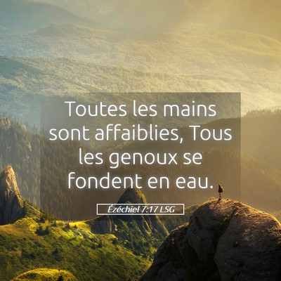 Picture 05 - Ézéchiel 7:17 LSG - Toutes les mains sont affaiblies, Tous les genoux - Bible Verse Picture