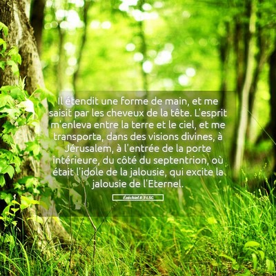 Picture 05 - Ézéchiel 8:3 LSG - Il étendit une forme de main, et me saisit par - Bible Verse Picture