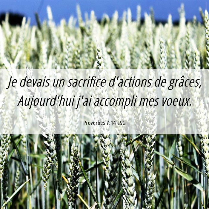 Proverbes 7:14 LSG - Je devais un sacrifice d'actions de grâces,