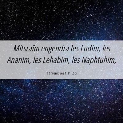 Picture 06 - 1 Chroniques 1:11 LSG - Mitsraïm engendra les Ludim, les Ananim, les - Bible Verse Picture