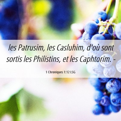 Picture 06 - 1 Chroniques 1:12 LSG - les Patrusim, les Casluhim, d'où sont sortis les - Bible Verse Picture