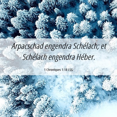 Picture 06 - 1 Chroniques 1:18 LSG - Arpacschad engendra Schélach; et Schélach - Bible Verse Picture