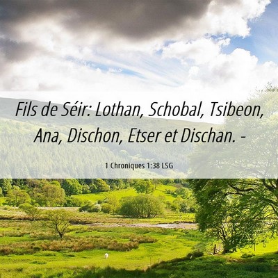 Picture 06 - 1 Chroniques 1:38 LSG - Fils de Séir: Lothan, Schobal, Tsibeon, Ana, - Bible Verse Picture