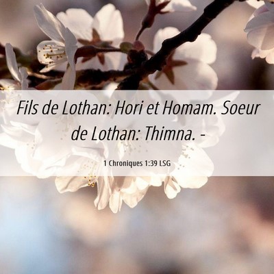 Picture 06 - 1 Chroniques 1:39 LSG - Fils de Lothan: Hori et Homam. Soeur de Lothan: - Bible Verse Picture