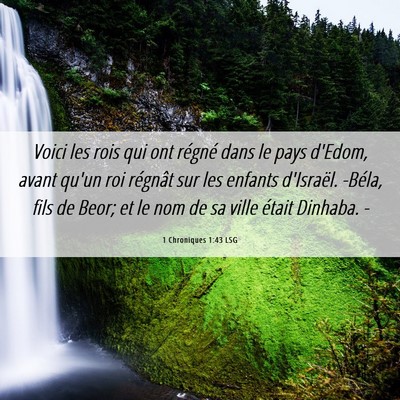 Picture 06 - 1 Chroniques 1:43 LSG - Voici les rois qui ont régné dans le pays - Bible Verse Picture
