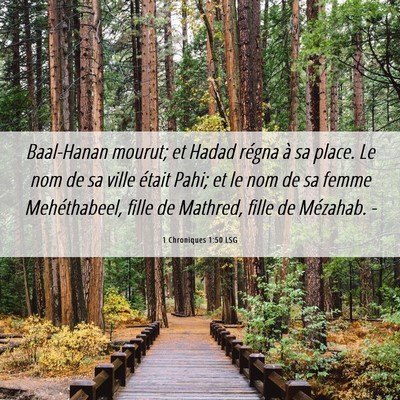 Picture 06 - 1 Chroniques 1:50 LSG - Baal-Hanan mourut; et Hadad régna à sa place. - Bible Verse Picture