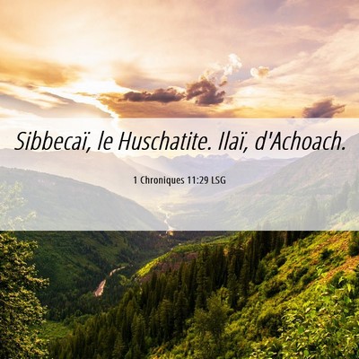 Picture 06 - 1 Chroniques 11:29 LSG - Sibbecaï, le Huschatite. Ilaï, - Bible Verse Picture