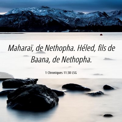 Picture 06 - 1 Chroniques 11:30 LSG - Maharaï, de Nethopha. Héled, fils de Baana, de - Bible Verse Picture