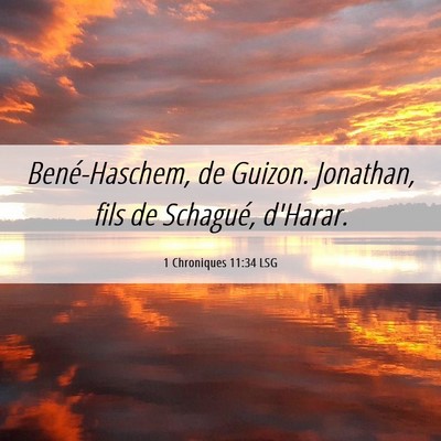 Picture 06 - 1 Chroniques 11:34 LSG - Bené-Haschem, de Guizon. Jonathan, fils de - Bible Verse Picture