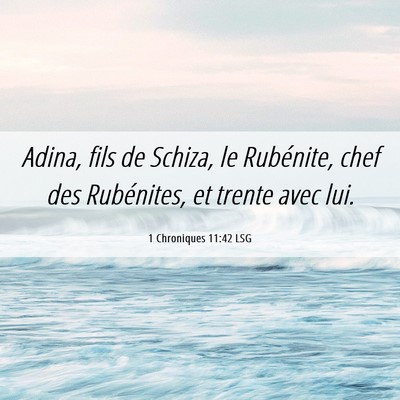 Picture 06 - 1 Chroniques 11:42 LSG - Adina, fils de Schiza, le Rubénite, chef des - Bible Verse Picture