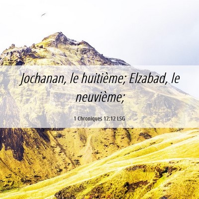Picture 06 - 1 Chroniques 12:12 LSG - Jochanan, le huitième; Elzabad, le - Bible Verse Picture