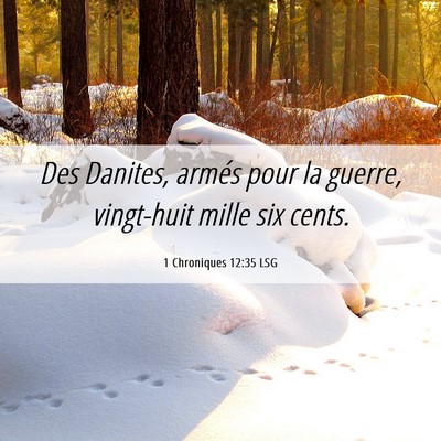 Picture 06 - 1 Chroniques 12:35 LSG - Des Danites, armés pour la guerre, vingt-huit - Bible Verse Picture