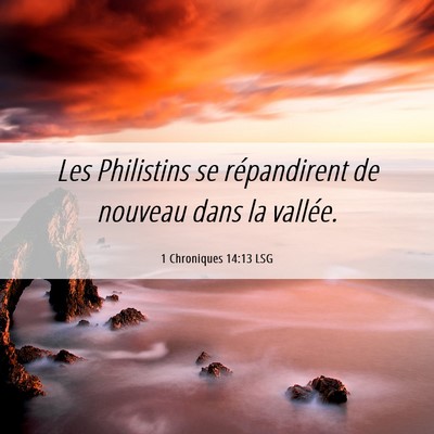 Picture 06 - 1 Chroniques 14:13 LSG - Les Philistins se répandirent de nouveau dans la - Bible Verse Picture