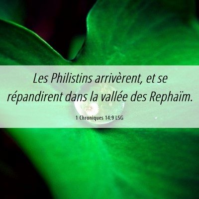 Picture 06 - 1 Chroniques 14:9 LSG - Les Philistins arrivèrent, et se répandirent - Bible Verse Picture