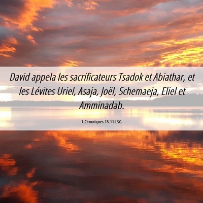 Picture 06 - 1 Chroniques 15:11 LSG - David appela les sacrificateurs Tsadok et - Bible Verse Picture