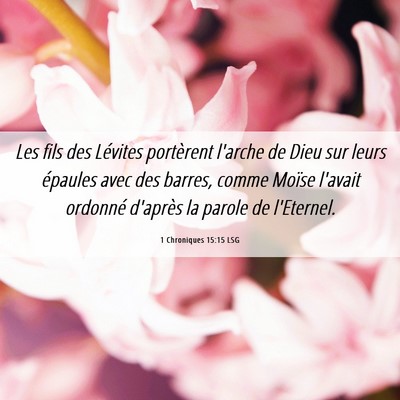 Picture 06 - 1 Chroniques 15:15 LSG - Les fils des Lévites portèrent l'arche de Dieu - Bible Verse Picture