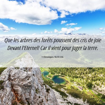 Picture 06 - 1 Chroniques 16:33 LSG - Que les arbres des forêts poussent des cris de - Bible Verse Picture