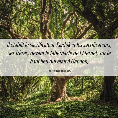 Picture 06 - 1 Chroniques 16:39 LSG - Il établit le sacrificateur Tsadok et les - Bible Verse Picture