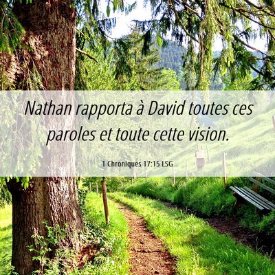 Picture 06 - 1 Chroniques 17:15 LSG - Nathan rapporta à David toutes ces paroles et - Bible Verse Picture