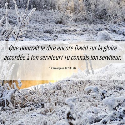 Picture 06 - 1 Chroniques 17:18 LSG - Que pourrait te dire encore David sur la gloire - Bible Verse Picture