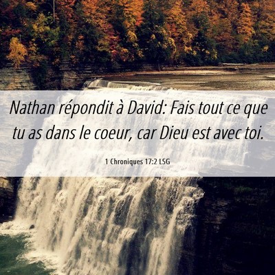 Picture 06 - 1 Chroniques 17:2 LSG - Nathan répondit à David: Fais tout ce que tu as - Bible Verse Picture