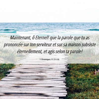 Picture 06 - 1 Chroniques 17:23 LSG - Maintenant, ô Eternel! que la parole que tu as - Bible Verse Picture