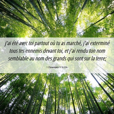 Picture 06 - 1 Chroniques 17:8 LSG - j'ai été avec toi partout où tu as marché, - Bible Verse Picture