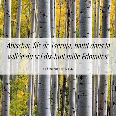 Picture 06 - 1 Chroniques 18:12 LSG - Abischaï, fils de Tseruja, battit dans la - Bible Verse Picture