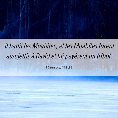 Picture 06 - 1 Chroniques 18:2 LSG - Il battit les Moabites, et les Moabites furent - Bible Verse Picture