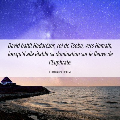 Picture 06 - 1 Chroniques 18:3 LSG - David battit Hadarézer, roi de Tsoba, vers - Bible Verse Picture