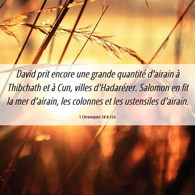 Picture 06 - 1 Chroniques 18:8 LSG - David prit encore une grande quantité d'airain - Bible Verse Picture