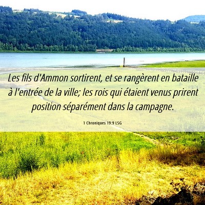Picture 06 - 1 Chroniques 19:9 LSG - Les fils d'Ammon sortirent, et se rangèrent en - Bible Verse Picture