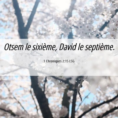 Picture 06 - 1 Chroniques 2:15 LSG - Otsem le sixième, David le - Bible Verse Picture
