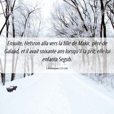 Picture 06 - 1 Chroniques 2:21 LSG - Ensuite, Hetsron alla vers la fille de Makir, - Bible Verse Picture